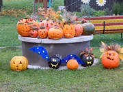 Dýňování s rodiči